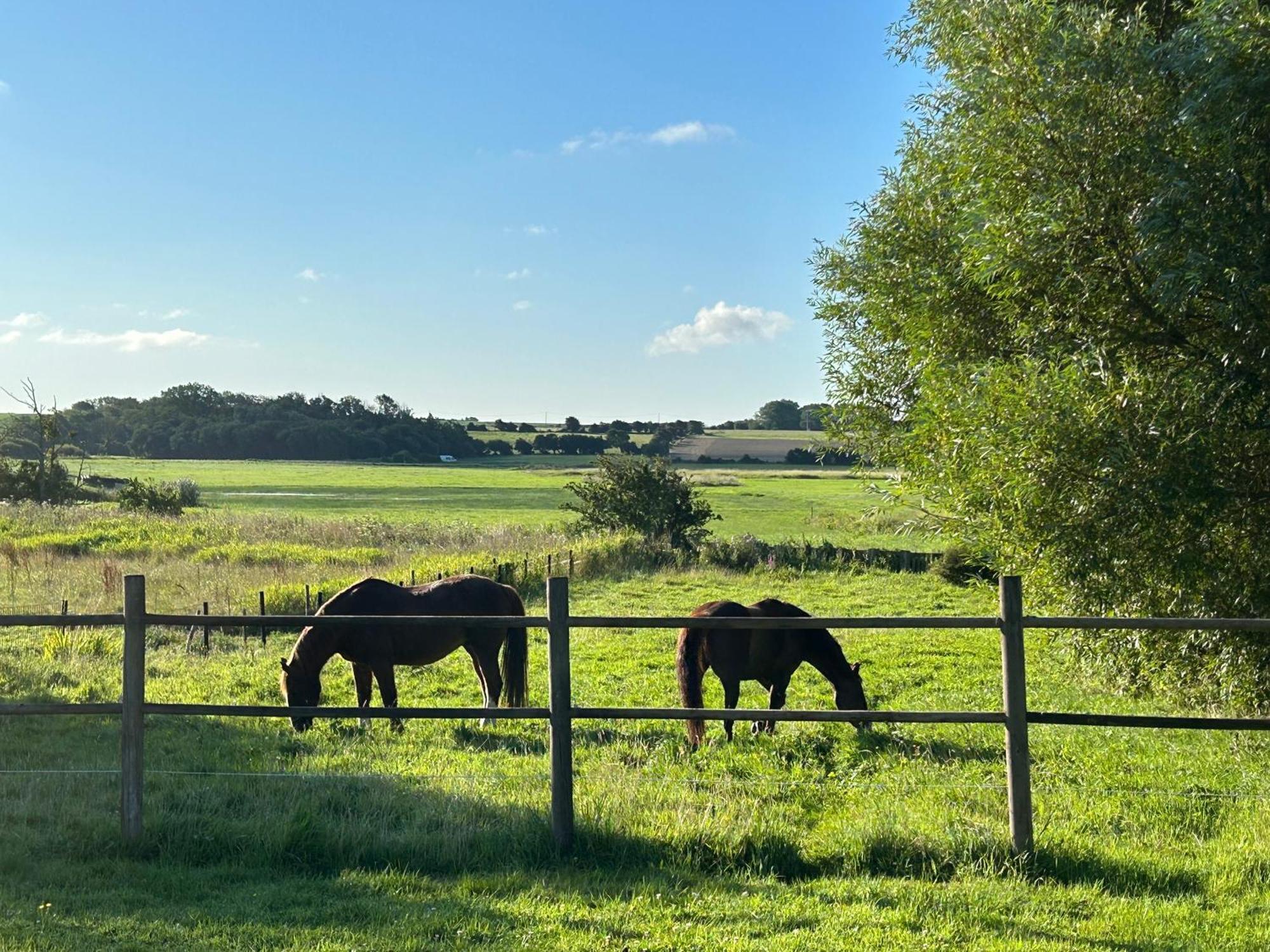 Le Wim'Heureux Campagne Bazinghen Exterior foto