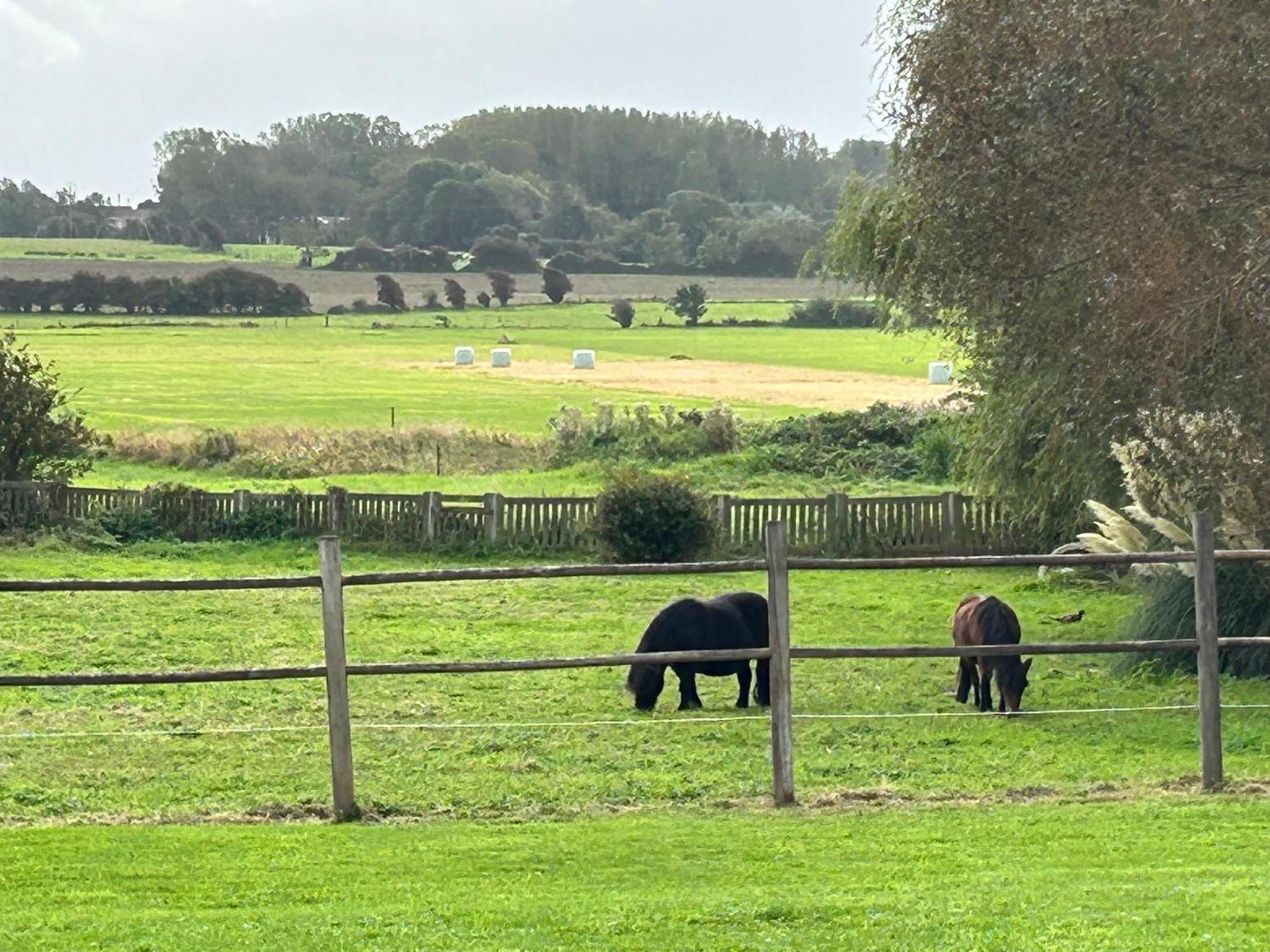 Le Wim'Heureux Campagne Bazinghen Exterior foto