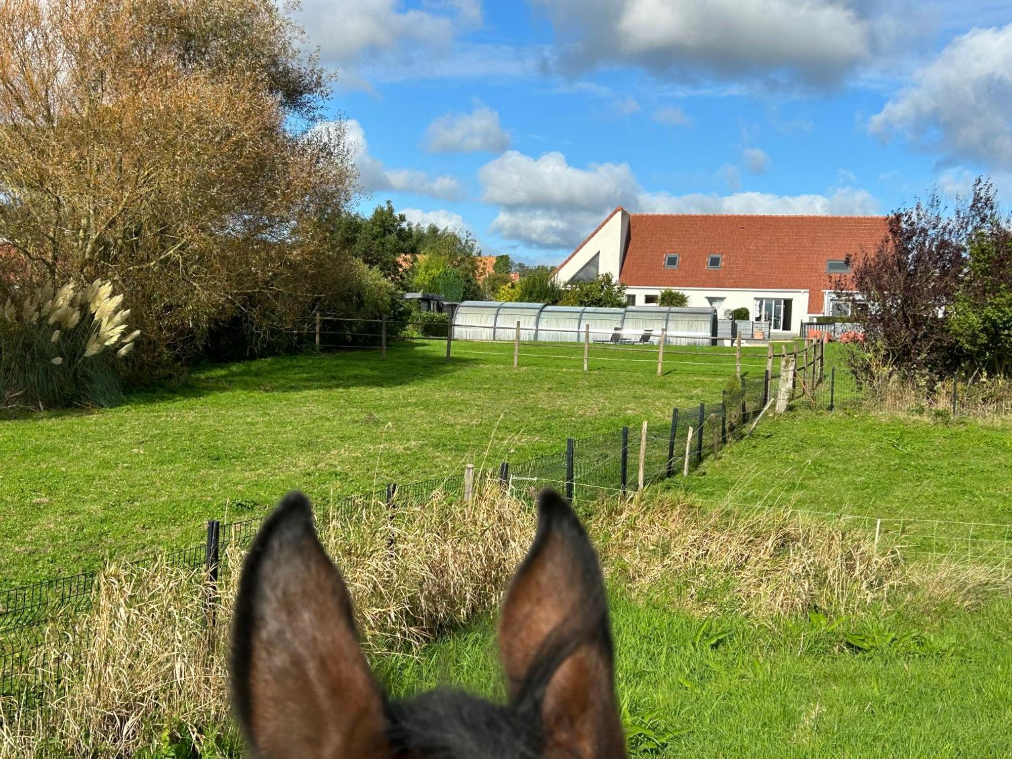 Le Wim'Heureux Campagne Bazinghen Exterior foto
